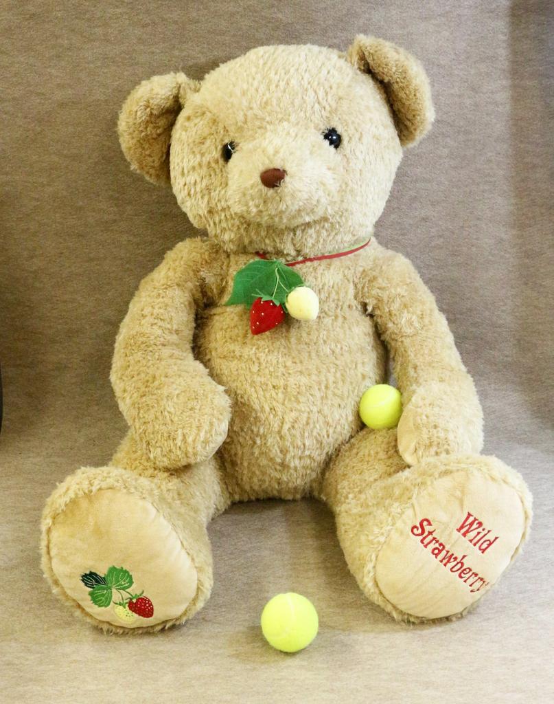 Take Off Wild Strawberry Bear 2L Beige Plush Toy with Music Box
