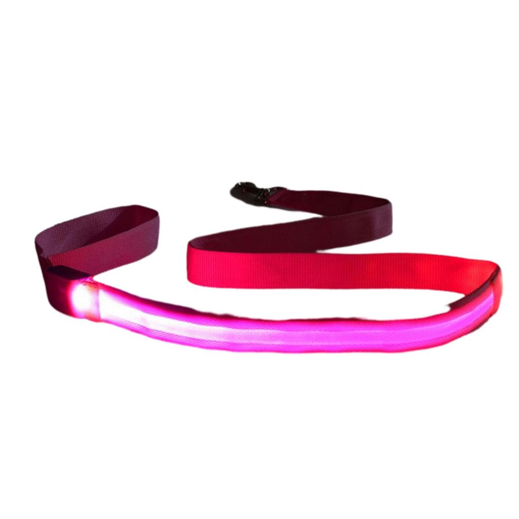 Laisse Lumineuse pour Animaux de Compagnie pour Chiens de Toutes Tailles Laisse d'Entraînement pour Chiots d'Extérieur Robuste LED Laisse pour Animaux de Compagnie pour Races Moyennes et Grandes