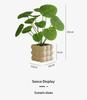 Nordic Bionic Green Faux Bonsai Plants - Indoor Tabletop Decor for Office & Living Room
