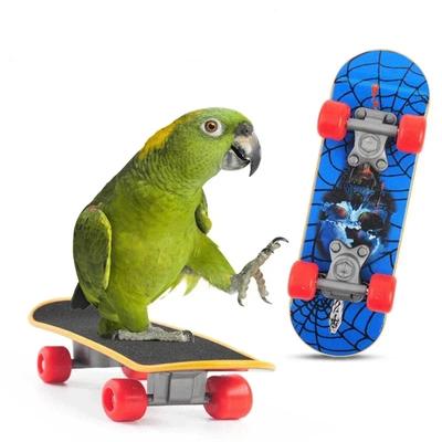 1Pc Parrot Training Skateboard, Bird Supplies Skates, Lovebird Canaries Perch for Parrots, Calopsita Birds Accessories