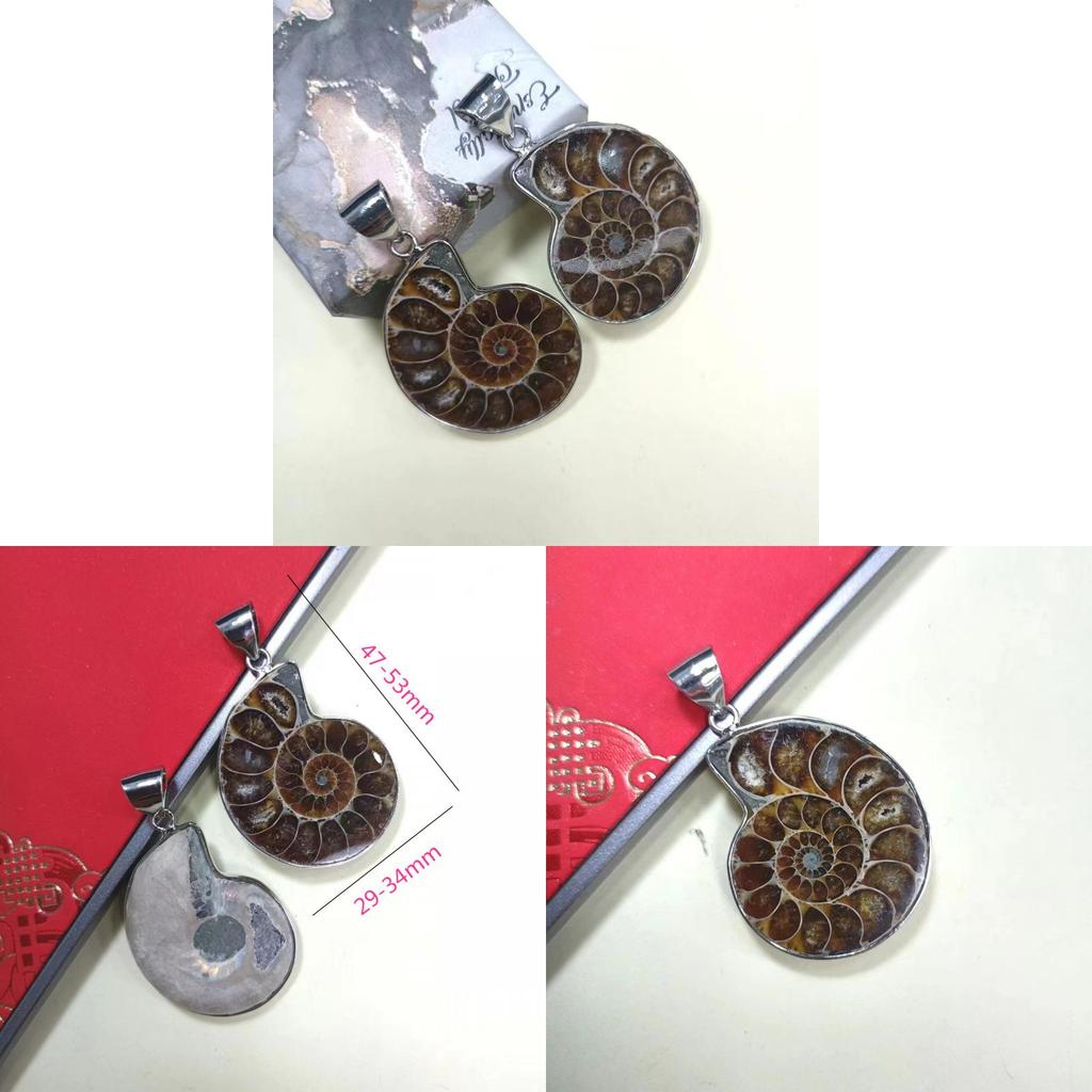 Shell Pendant With Polished Shell Beads For Style Jewelry