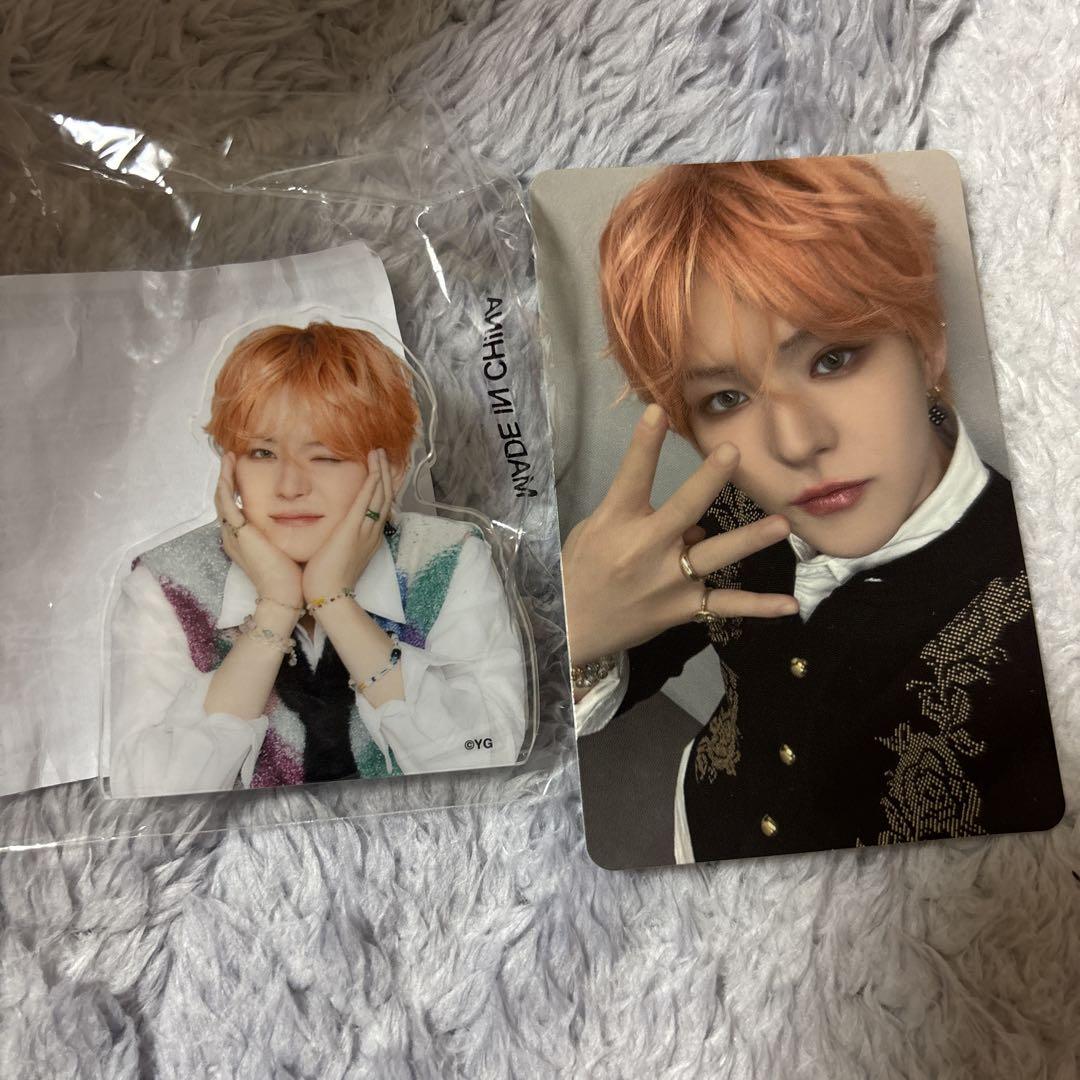 

[USED] treasure Yoshi fancon goods