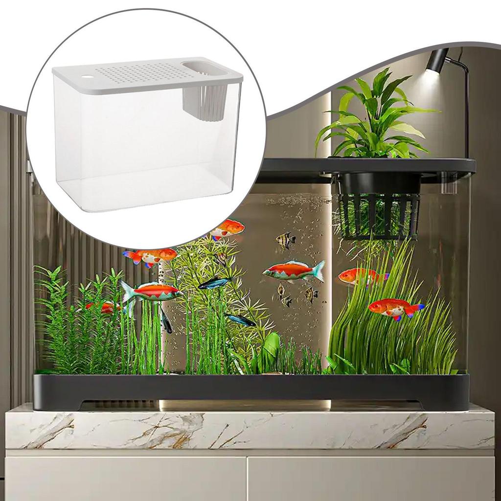Reptile Tank Terrarium Feeding Box Clear View Supplies Small Fish Habitat for Chameleon Hermit