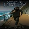 Waves of Destiny by David McCaddon Paperback Book 9781035895731