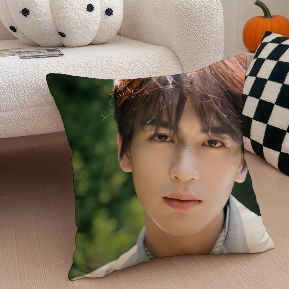 Handsome Versatile Chinese Actor ZZhangLingHe Cushion Cover Throw Pillow Cover Hidden Button Durable Polyester Chair Cushion