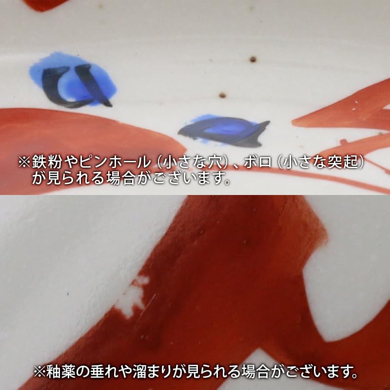 EAST stůl Hlavní jídlo Červené Japonské Bezpečný talíř vyrobený v mikrovlnné troubě, Ručně malovaný obraz, 24 cm, Nádobí, 16-020, Japonsko,
