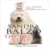 The Big Steep by Sandra Balzo Paperback Book 9781448306251