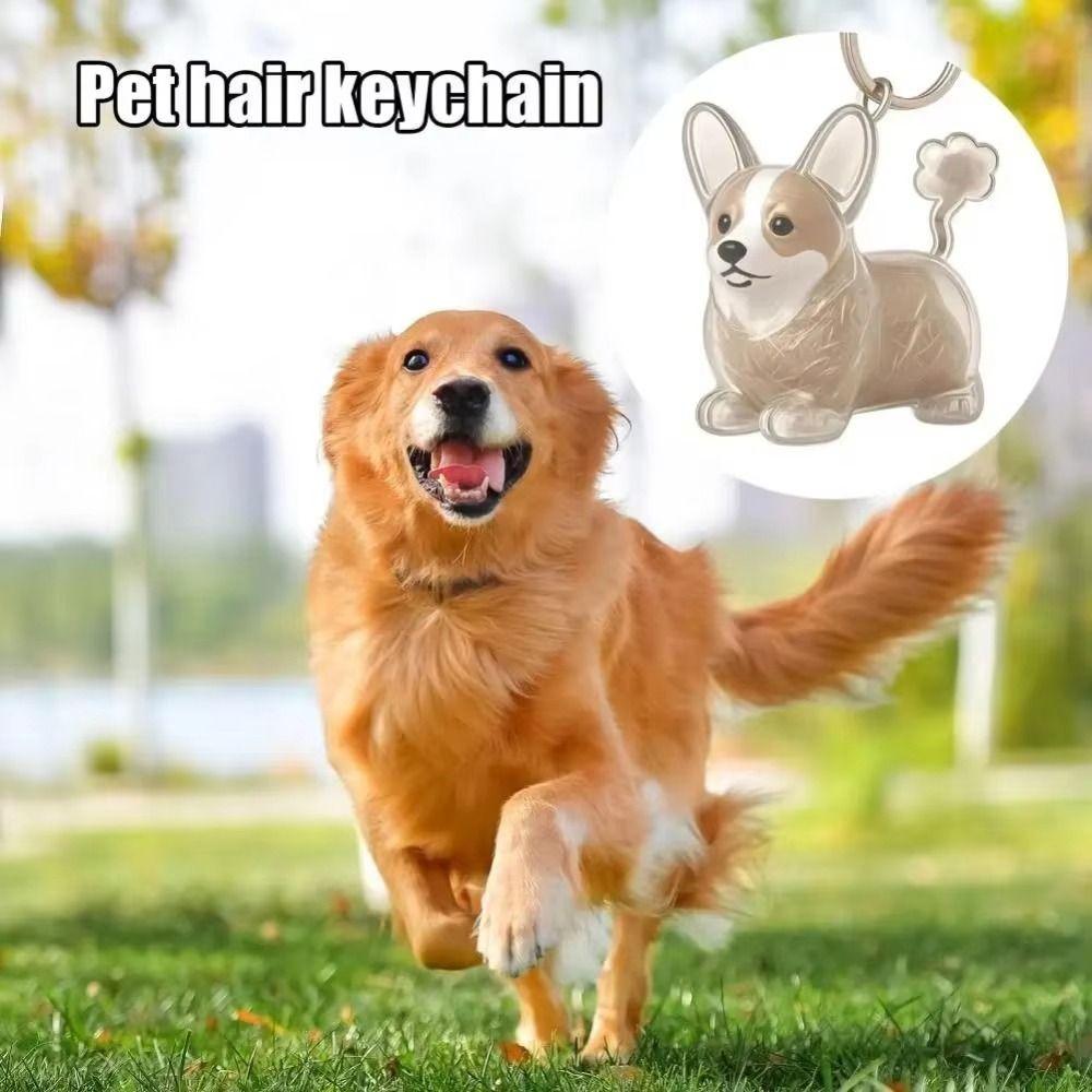 Hair Grooming Dog Hair Storage Box Dog Shape Puppy Pendants Pet Hair Keychain  Jewelry Gift
