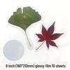 Self-Adhesive Cold Laminating Film - 6 Inch, A4, A6 for Photos, Bookmarks, and Leaf Specimens