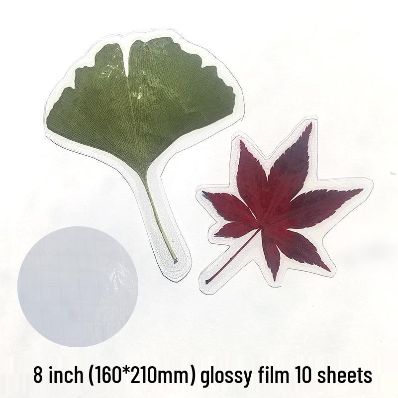 Self-Adhesive Cold Laminating Film - 6 Inch, A4, A6 for Photos, Bookmarks, and Leaf Specimens