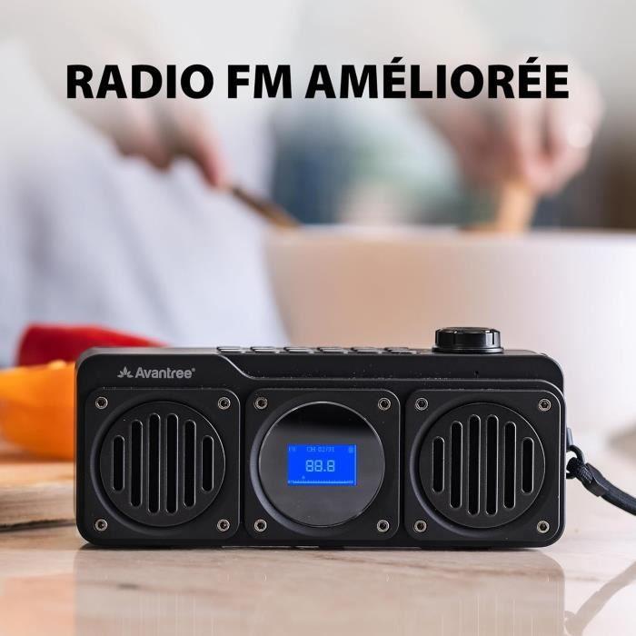 Enceinte Bluetooth Portable - AVANTREE - Boombyte - Radio FM - 14W - Autonomie 18H