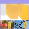 Insect Trap Pe Sticky Board With Dualside High Adhesion For Agriculture Pest Control