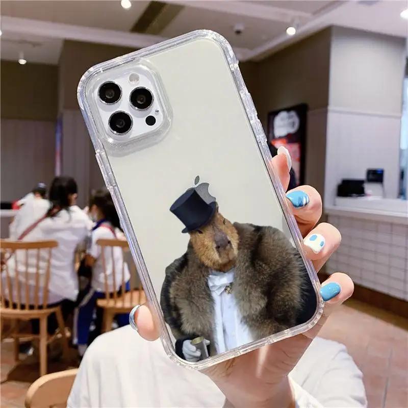 Cute Capybara Phone Case For iPhone 16 15 14 13 12 11 Pro Max Mini X Xs XR 7 8 Plus SE 2020 Transparent Case