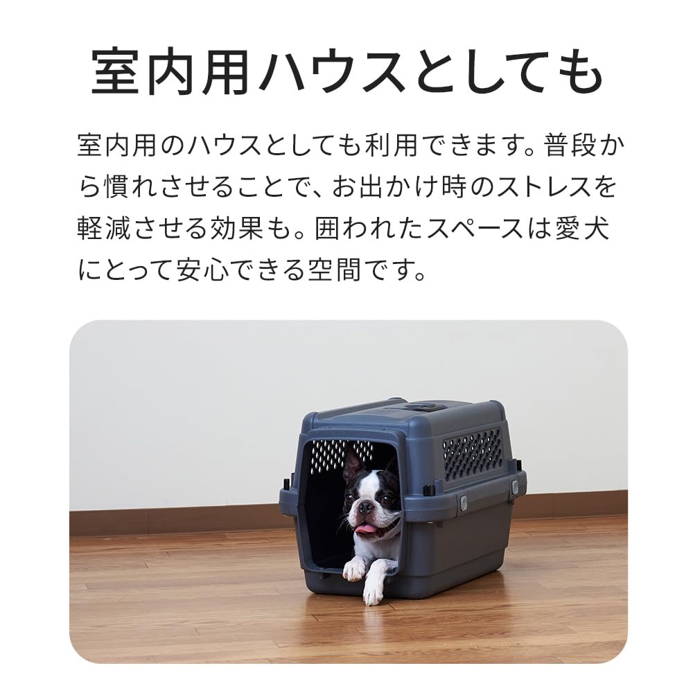 OFT Pet Kennel First Class Black Edition L50 W X D X Weight with Handles Indoor with IATA Safety Standards [External Dimensions 33.5cm 50.5cm 33.5cm