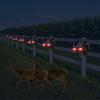 Solar-Powered Red Light Repellent for Rabbits, Wolves, Bears, Deer, and Weasels