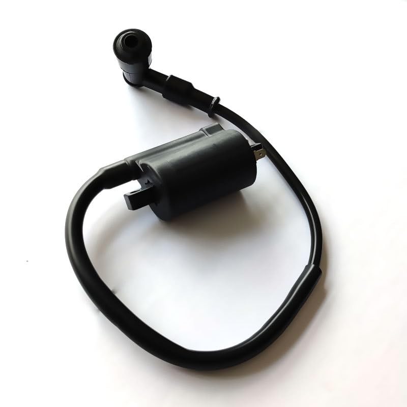 [Deepa Ribusu] GN125 Ignition Coil Ignition Coil Compatible Product