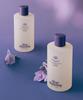 Slow Humming Oceanery Body Wash Tepid Sunset