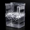 Double-layer Transparent Fish Breeding Tank Versatile Aquarium Isolation Box