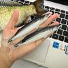 Creative Funny Fish Shaped Pen Bag Pens Crucian Carp Pencil Case Funny Student Stationery Supplies Storage Pens Organizer