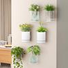 Wall-mounted Planter Self Watering Wall Planter with Reservoir Decorative Flower Pot for Indoor Outdoor Use Wall Mounted Plant