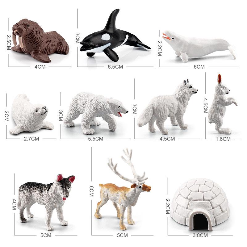 Arctic Animal Simulation Model: Rabbit, Fox, Killer Whale, Beluga, Reindeer, Husky, Polar Bear, Igloo Sandbox