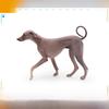 Azawakh Dog Model Collectible Pvc Figure For Kids And Pet Enthusiasts