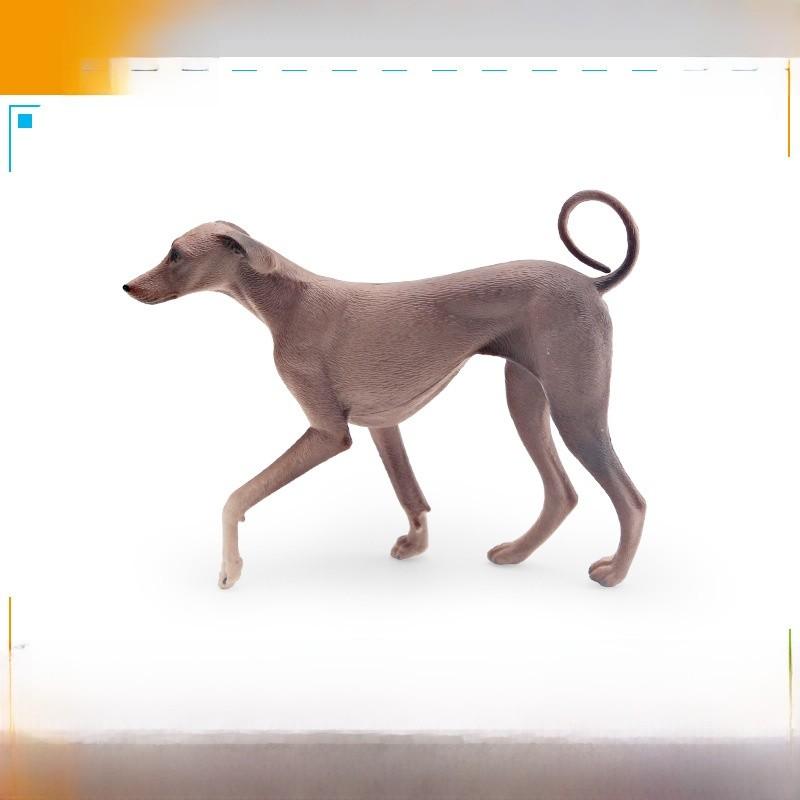 Azawakh Dog Model Collectible Pvc Figure For Kids And Pet Enthusiasts