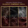 BBLUNT Salon Secret High Shine Conditioning Hair Colour Mahogany Reddish Brown 130G Pack Of 1