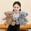 Romi Teddy Bear: Adorable Plush Toy for Kids' Birthdays, Girls' Hugs, and Companionship