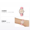 Casio STANDARD series, fashionable, business, simple, casual and versatile, classic hands, Roman scale, large golden dial, waterproof, LTP-VT01L-4BUDF