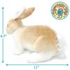 VIAHART Tale Ridley Rabbit Plush Realistic Pet Cute Bunny Japanese [Tiger Toys] Toy, 11-inch (27cm) Rabbit, [Official Product]