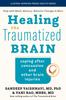 The Healing the Traumatized Brain : Coping After Concussion and Other Brain Injuries Book