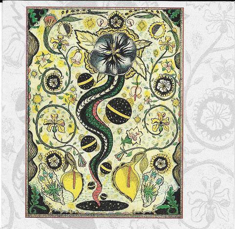 

CD STEVE EARLE I Feel Alright 9462012 WARNER BROS 1996 US Pop Used