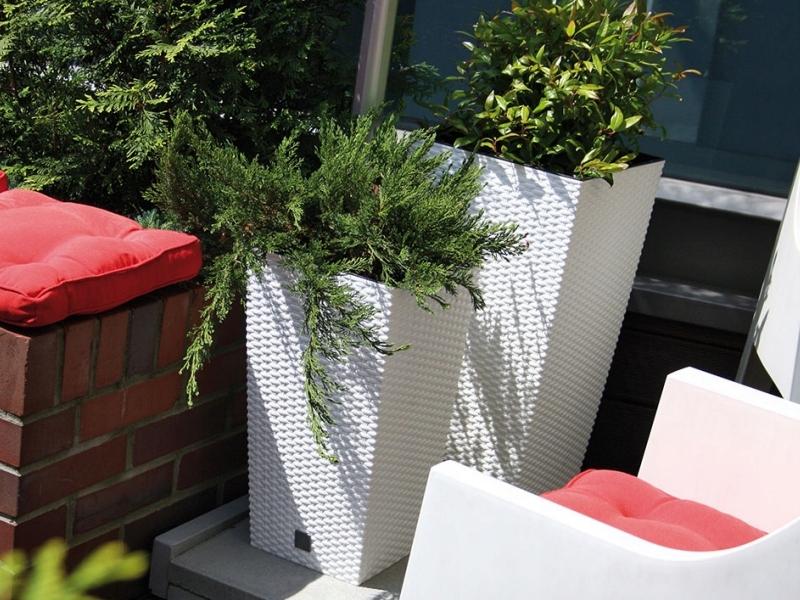 RATO DRTS325 tall flowerpot with insert | Umbra