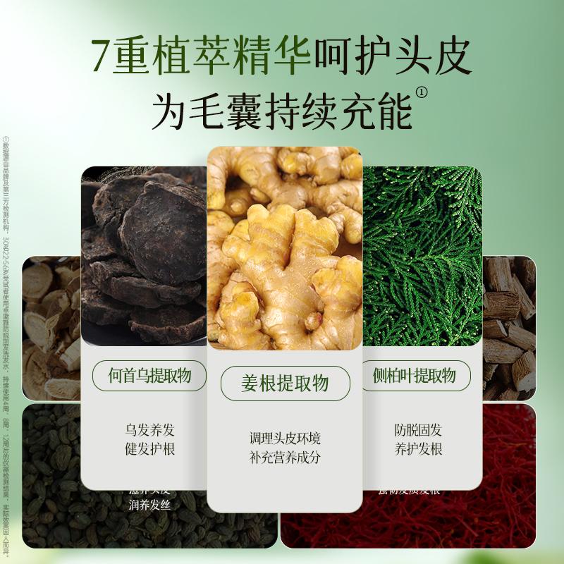 Zhuolanya Ginger Portable Experience Pack 10ml * 10 (shampoo/care)