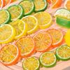 Plastic Lemon Slice Models for Creative Decor and Teaching Props