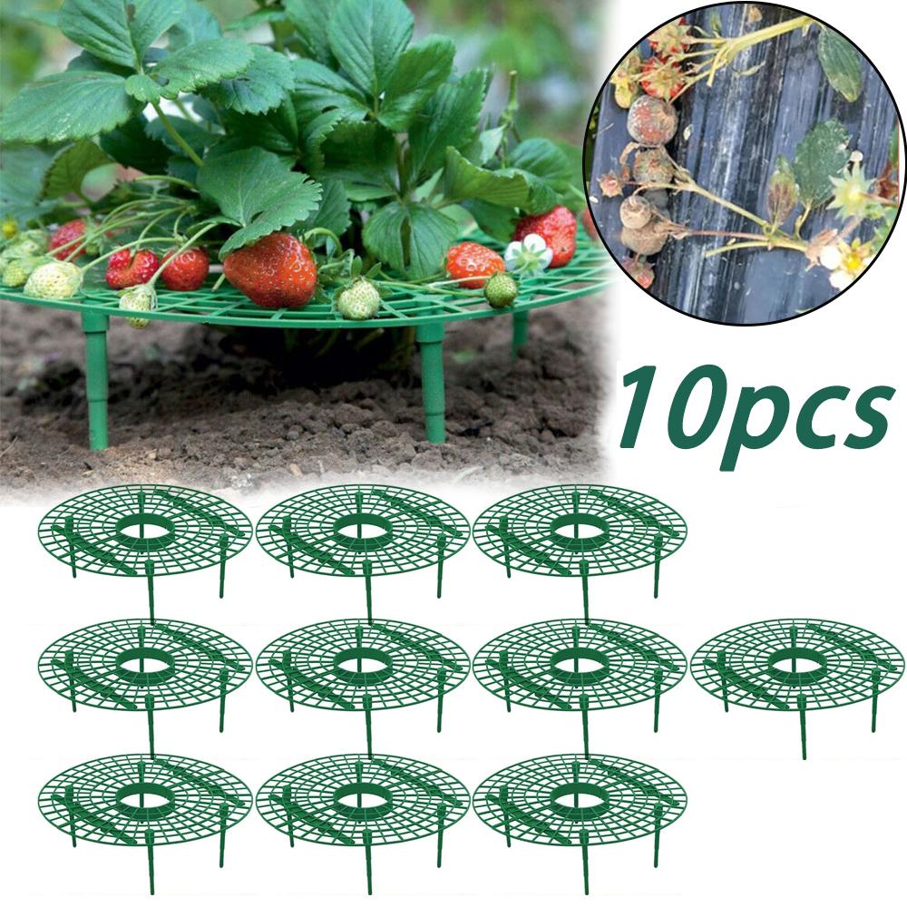 

10-50 штук Подставка для клубники - С 4 прочными ножками Подставка для клубники - Подставка для посадки клубники, Держите клубнику в чистоте 10pcs
