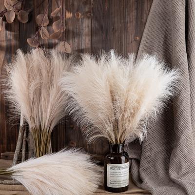 1/10pcs Faux Pampas Grass 18.5inch Artificial Pompous Grass Floral Fake Pompas Grass Branches Vase Filler DIY Flower Arrangement