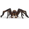 Figurine Aragog, Harry Potter, pour enfants dès 6 ans, Schleich 13987 Harry Potter, Univers WIZARDING WORLD