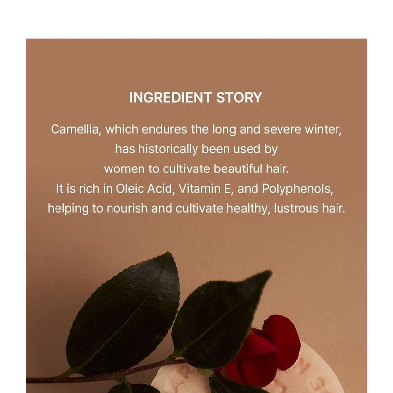 Donggubat Vegan Shampoo Bar Camellia