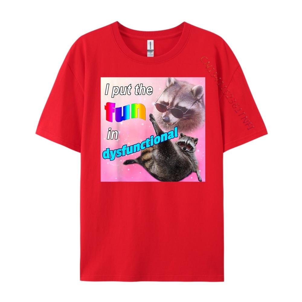 I Put The Fun In Dysfunctional Raccoon Meme Street Wear T Shirt Clothes Graphic S
