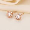 Hot-selling Seiko Flash Diamond Snowflake Stud Earrings Simple Classic Earrings Ear Jewelry