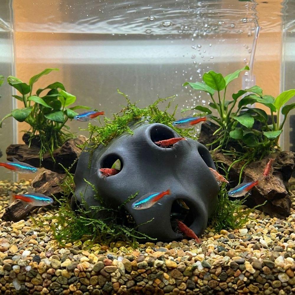 Abri cachette Crevette Imprimé 3D Tunnel poreux Aquarium Cachette Enrichissement pour Poisson Betta