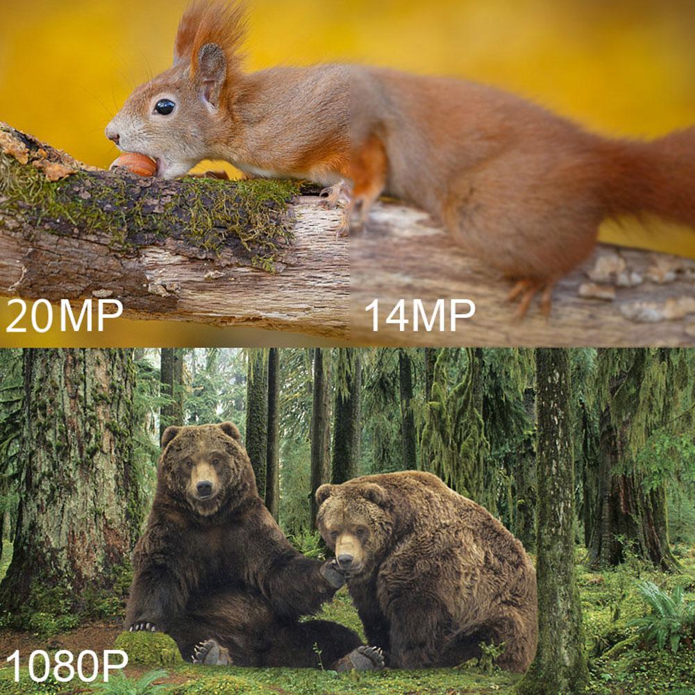 Mini Trail Camera 2 Pack 20MP 1080p herní kamery Noční vidění Pohybem aktivované Vodotěsná lovecká kamera Past na sledování divoké zvěře