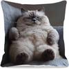 Sofa Pillow Pillowcase Skin-friendly Short Plush Cute Animal Cat Pillow Cover Living Room Cushion Cover Without Core