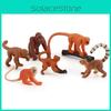 Simulated Animal Monkey Model Toy For Educational Use Collectible Figurines