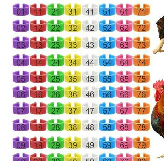 Poultry Marking Laser-Engraved Colored Leg Rings with Open Buckle