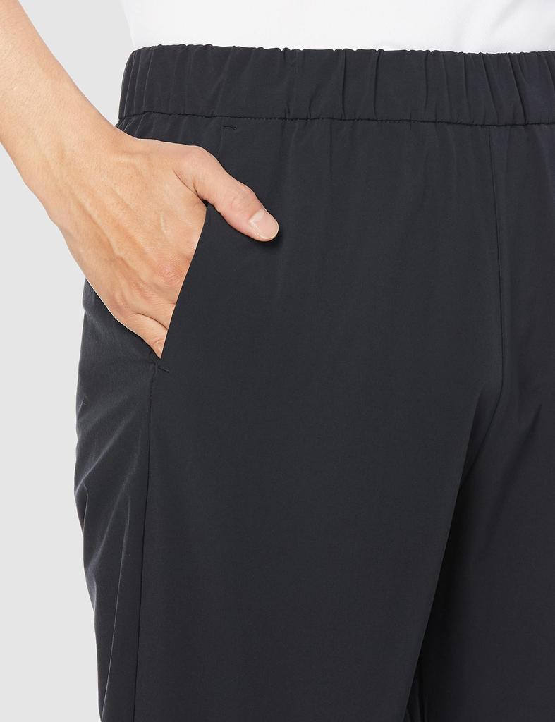 The North Face Apex Flex New Size L Pants, Men's, Water-Repellent, Windproof, Stretch, Taupe,