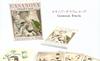 Oracle Card English Affirmation Fortune Telling Oracle Card Casanova I.I.J [Casanova Oracle] [Genuine]