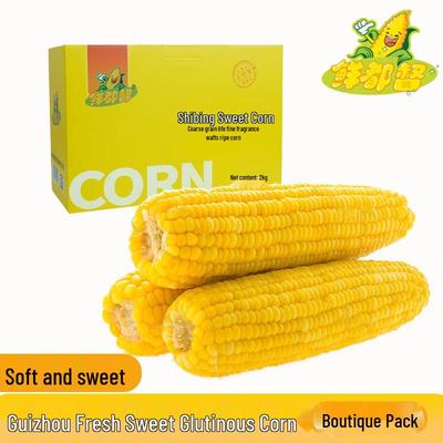 Wuyangfu Fresh Dududu Corn